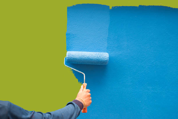 Trusted Port Labelle, FL Mold Removal Experts